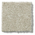 NEWBERN CLASSIC 12' 100% Pet Polyester Carpet 12 ft. x Custom Length R2X® Built-in Stain & Soil Protection