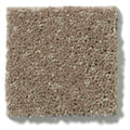 NEWBERN CLASSIC 12' 100% Pet Polyester Carpet 12 ft. x Custom Length R2X® Built-in Stain & Soil Protection