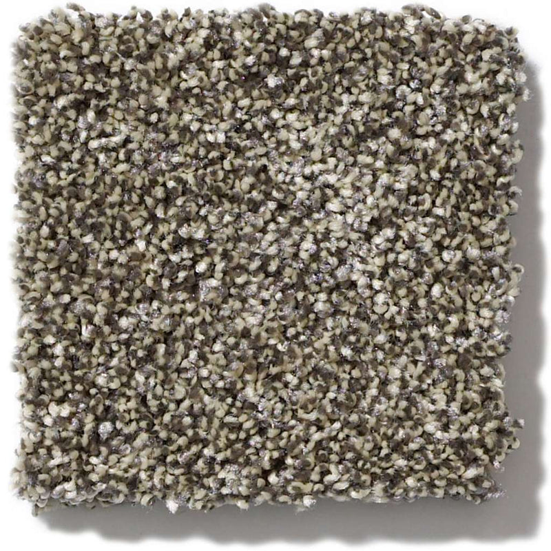 OF COURSE WE CAN II 12' 100% Pet Polyester Carpet 12 ft. x Custom Length R2X® Built-in Stain & Soil Protection