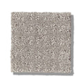 TRANSFORM 100% SD PET Polyester Carpet 12 ft. x Custom Length