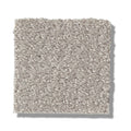 TRANSLATE 100% SD PET Polyester Carpet 12 ft. x Custom Length