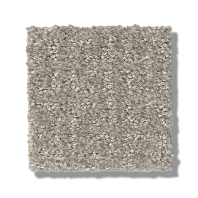 TRANSFORM 100% SD PET Polyester Carpet 12 ft. x Custom Length