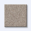 HARMONIOUS I 100% Nylon Carpet 12 ft. x Custom Length R2X® Built-in Stain & Soil Protection