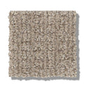 STAY FIT 100% SD PET Polyester Carpet 12 ft. x Custom Length