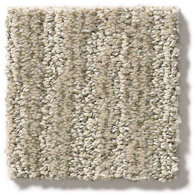 EASY FIT 100% SD PET Polyester Carpet 12 ft. x Custom Length R2X® Built-in Stain & Soil Protection