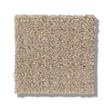 TRANSLATE 100% SD PET Polyester Carpet 12 ft. x Custom Length