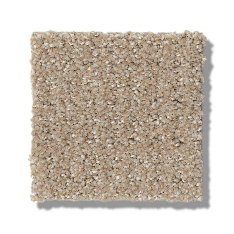 TRANSLATE 100% SD PET Polyester Carpet 12 ft. x Custom Length