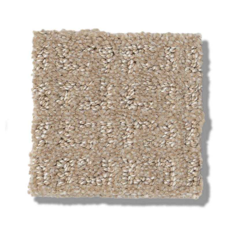 TRANSFORM 100% SD PET Polyester Carpet 12 ft. x Custom Length