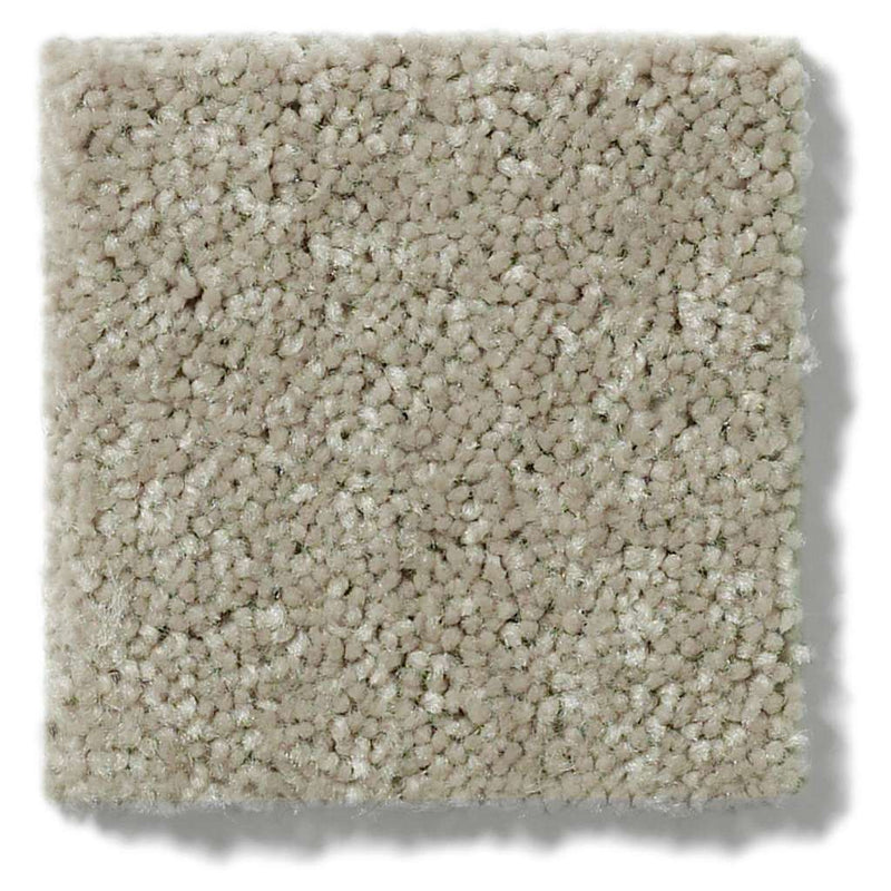 NEWBERN CLASSIC 12' 100% Pet Polyester Carpet 12 ft. x Custom Length R2X® Built-in Stain & Soil Protection