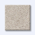 HARMONIOUS II 100% Nylon Carpet 12 ft. x Custom Length R2X® Built-in Stain & Soil Protection