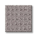 FAINT INTENT 100% Nylon Carpet 12 ft. x Custom Length R2X® Built-in Stain & Soil Protection