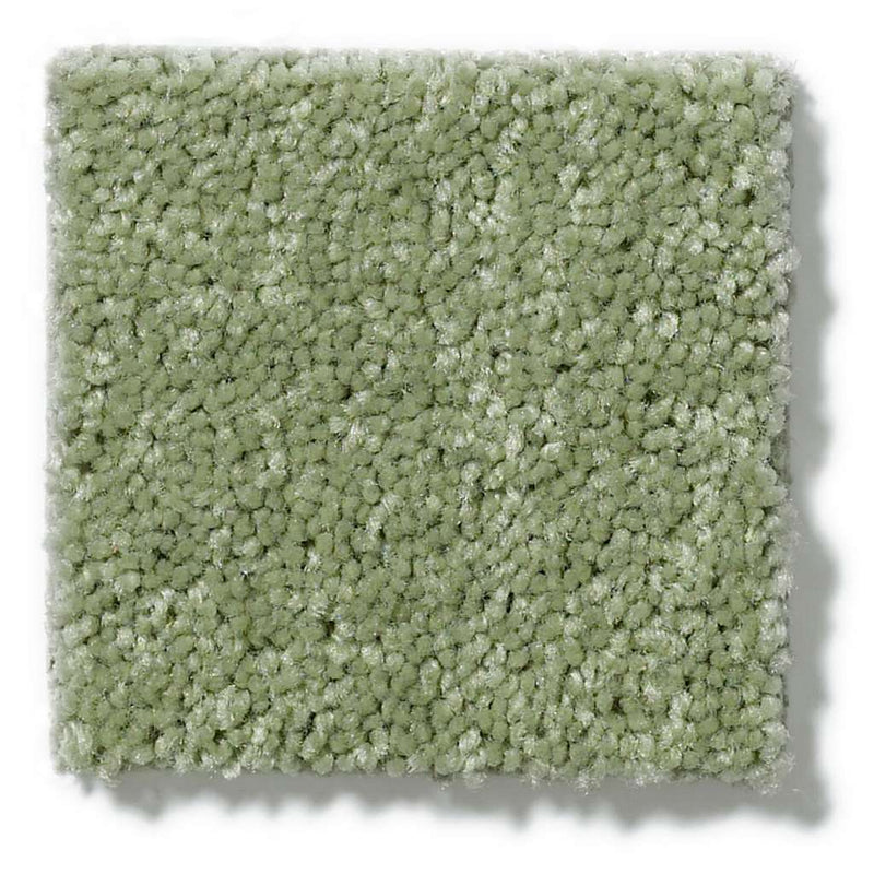 NEWBERN CLASSIC 12' 100% Pet Polyester Carpet 12 ft. x Custom Length R2X® Built-in Stain & Soil Protection