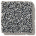 WITHIN REACH I 100% PET Polyester Carpet 12 ft. x Custom Length