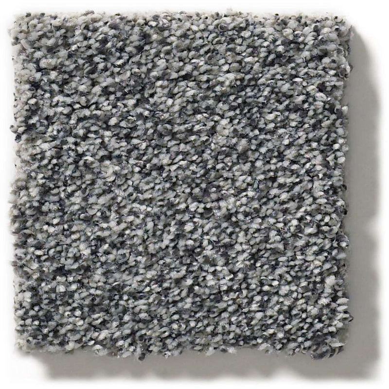 WITHIN REACH III 100% PET Polyester Carpet 12 ft. x Custom Length
