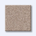 HARMONIOUS II 100% Nylon Carpet 12 ft. x Custom Length R2X® Built-in Stain & Soil Protection