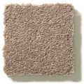 MONTAGE I 100% Pet Polyester Carpet 12 ft. x Custom Length R2X® Built-in Stain & Soil Protection