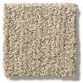 EASY FIT 100% SD PET Polyester Carpet 12 ft. x Custom Length R2X® Built-in Stain & Soil Protection