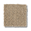 STAY FIT 100% SD PET Polyester Carpet 12 ft. x Custom Length