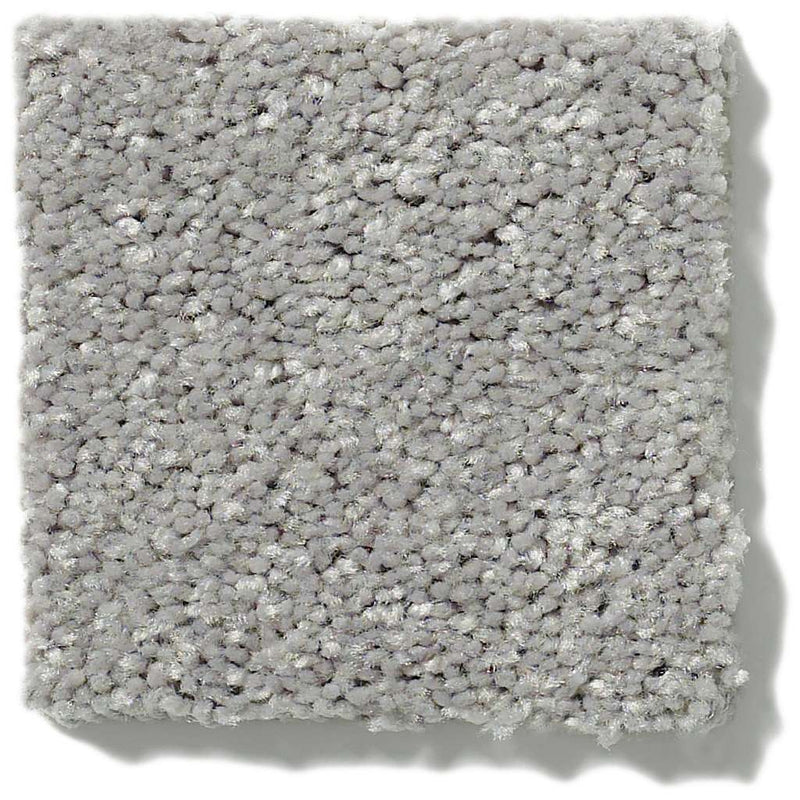 NEWBERN CLASSIC 12' 100% Pet Polyester Carpet 12 ft. x Custom Length R2X® Built-in Stain & Soil Protection