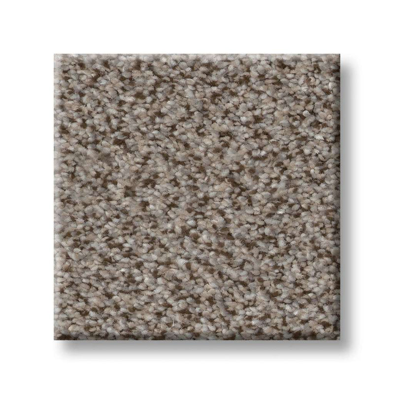 TRUSPIRIT II 100% SD PET Polyester Carpet 12 ft. x Custom Length