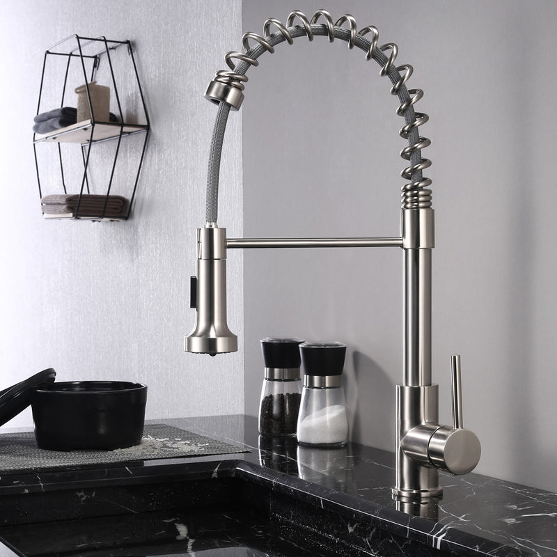 Brushed Nickel Single-Handle Kitchen Faucet K102E01021