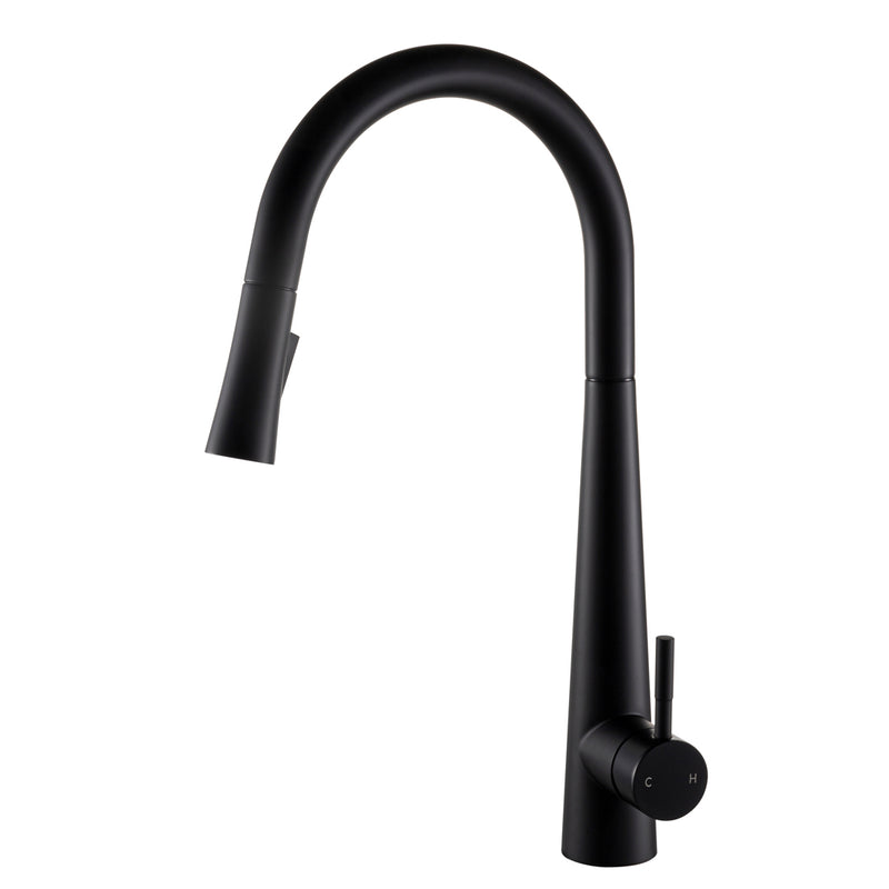 Matt Black Single-Handle Kitchen Faucet K14901312