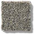 WITHIN REACH I 100% PET Polyester Carpet 12 ft. x Custom Length