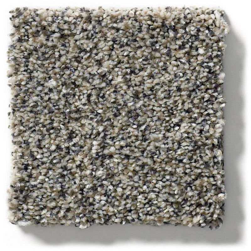 WITHIN REACH III 100% PET Polyester Carpet 12 ft. x Custom Length