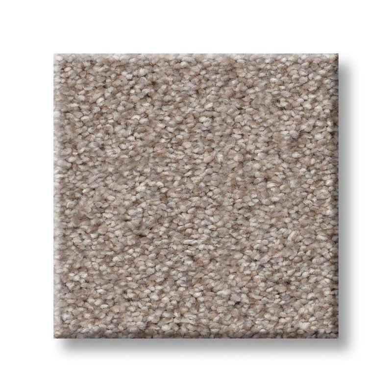 TRUSPIRIT II 100% SD PET Polyester Carpet 12 ft. x Custom Length