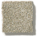 MONTAGE I 100% Pet Polyester Carpet 12 ft. x Custom Length R2X® Built-in Stain & Soil Protection