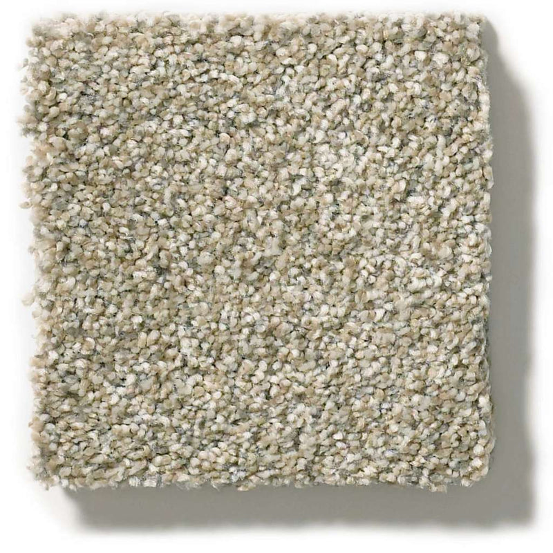 MONTAGE II 100% BCF Cleartouch PET Polyester Carpet 12 ft. x Custom Length R2X® Built-in Stain & Soil Protection