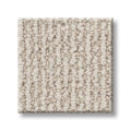 ICONIC WAY 100% SD PET Polyester Carpet 12 ft. x Custom Length R2X® Built-in Stain & Soil Protection