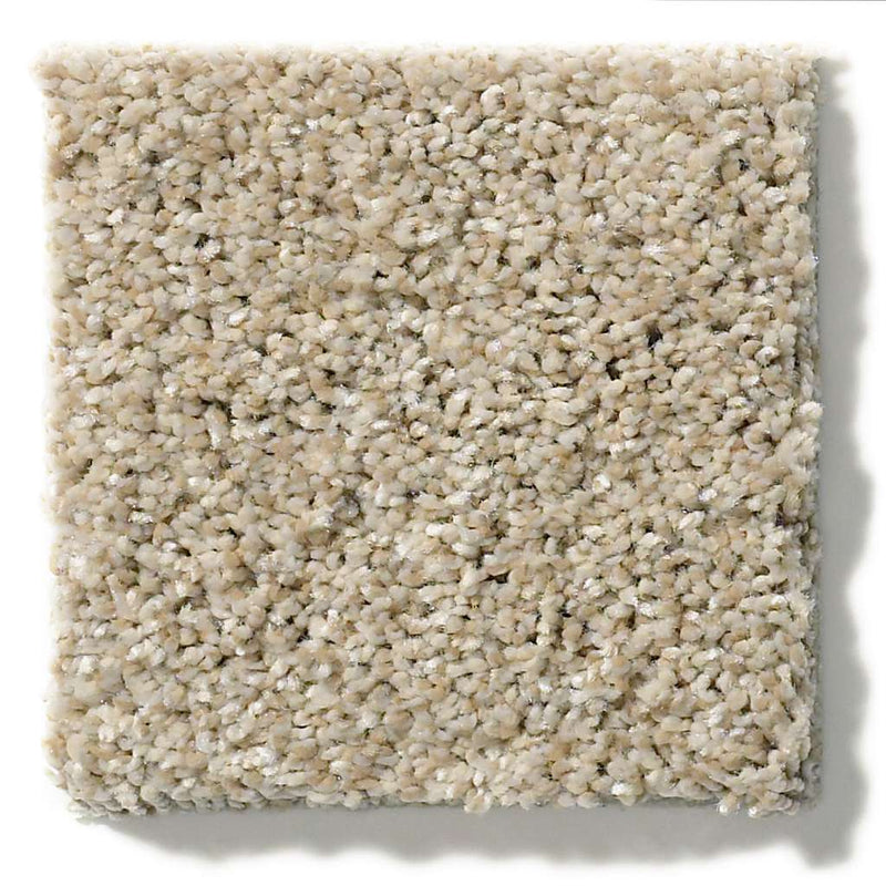 OF COURSE WE CAN I 12' 100% Pet Polyester Carpet 12 ft. x Custom Length R2X® Built-in Stain & Soil Protection