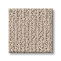 ICONIC WAY 100% SD PET Polyester Carpet 12 ft. x Custom Length R2X® Built-in Stain & Soil Protection