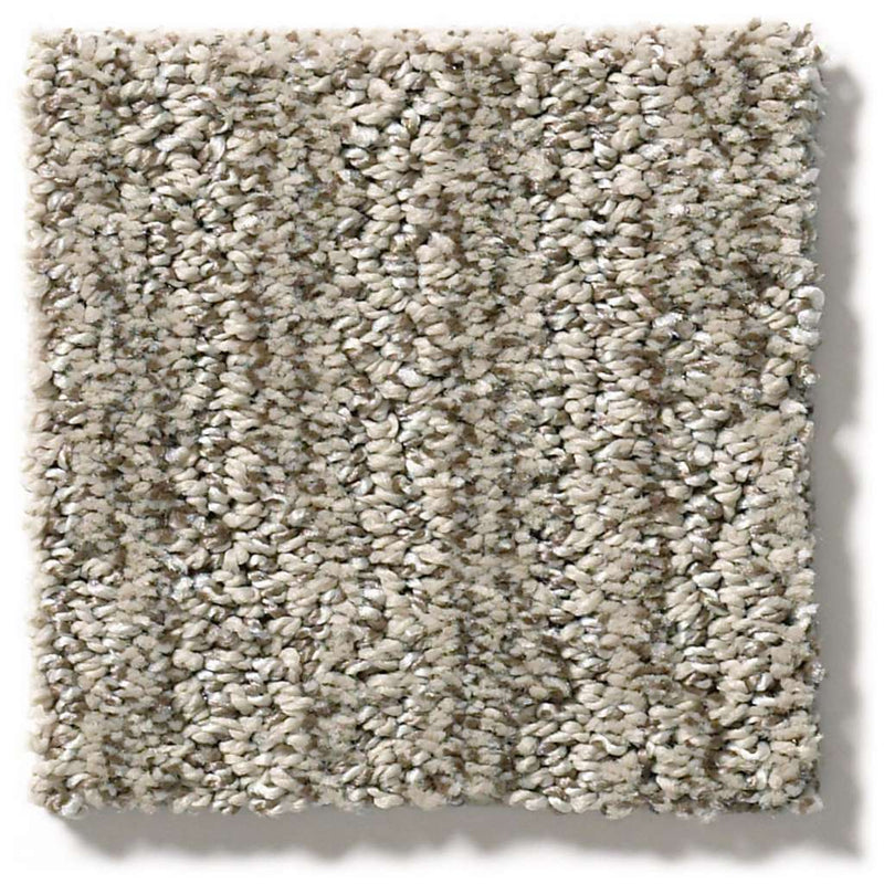 EASY FIT 100% SD PET Polyester Carpet 12 ft. x Custom Length R2X® Built-in Stain & Soil Protection