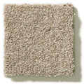 MONTAGE I 100% Pet Polyester Carpet 12 ft. x Custom Length R2X® Built-in Stain & Soil Protection