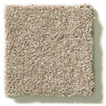 MONTAGE II 100% BCF Cleartouch PET Polyester Carpet 12 ft. x Custom Length R2X® Built-in Stain & Soil Protection