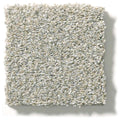 MONTAGE I 100% Pet Polyester Carpet 12 ft. x Custom Length R2X® Built-in Stain & Soil Protection