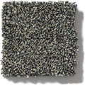 OF COURSE WE CAN II 12' 100% Pet Polyester Carpet 12 ft. x Custom Length R2X® Built-in Stain & Soil Protection