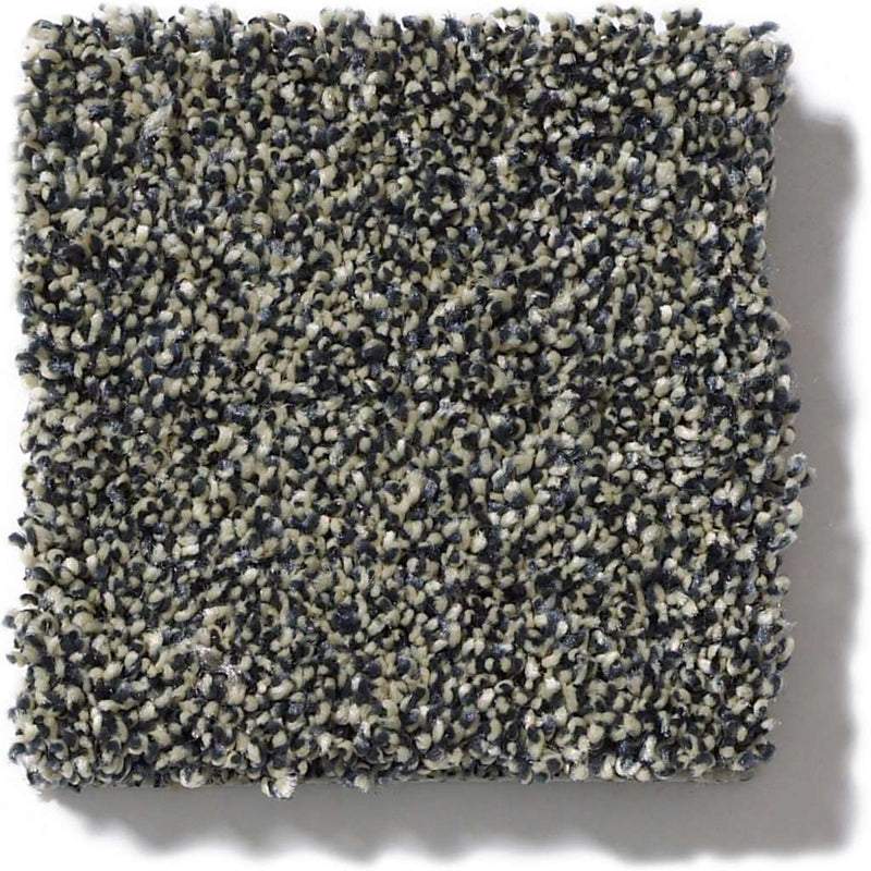 OF COURSE WE CAN I 12' 100% Pet Polyester Carpet 12 ft. x Custom Length R2X® Built-in Stain & Soil Protection