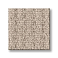 FRAMED VIEW 100% SD PET Polyester Carpet 12 ft. x Custom Length R2X® Built-in Stain & Soil Protection