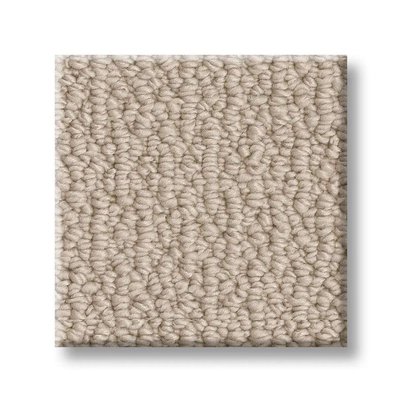 LOOP DE LOOP 100% SD PET Polyester Carpet 12 ft. x Custom Length