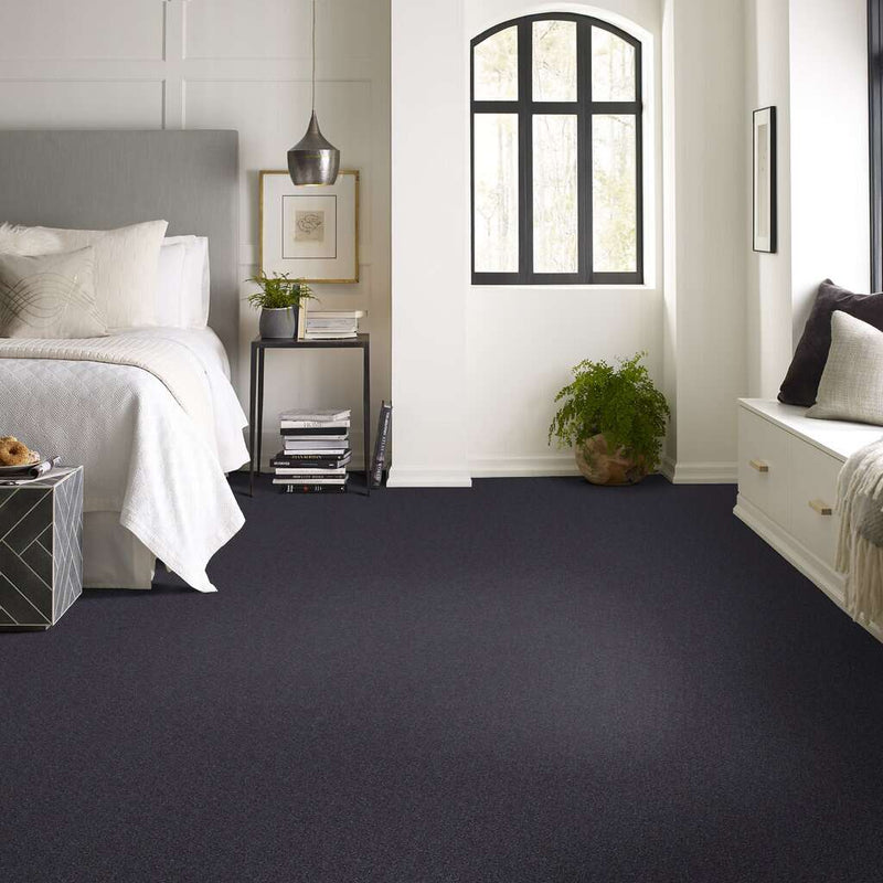 NEWBERN CLASSIC 12' 100% Pet Polyester Carpet 12 ft. x Custom Length R2X® Built-in Stain & Soil Protection