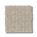 TRANSFORM 100% SD PET Polyester Carpet 12 ft. x Custom Length