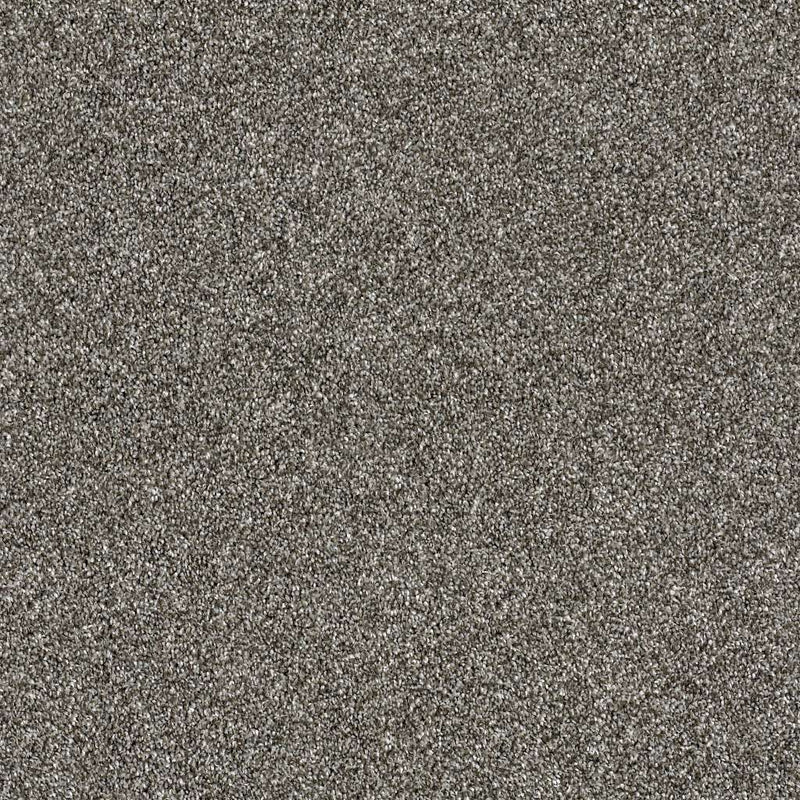 OF COURSE WE CAN II 12' 100% Pet Polyester Carpet 12 ft. x Custom Length R2X® Built-in Stain & Soil Protection