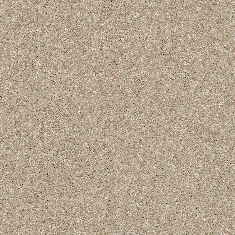 OF COURSE WE CAN III 12' 100% Pet Polyester Carpet 12 ft. x Custom Length R2X® Built-in Stain & Soil Protection