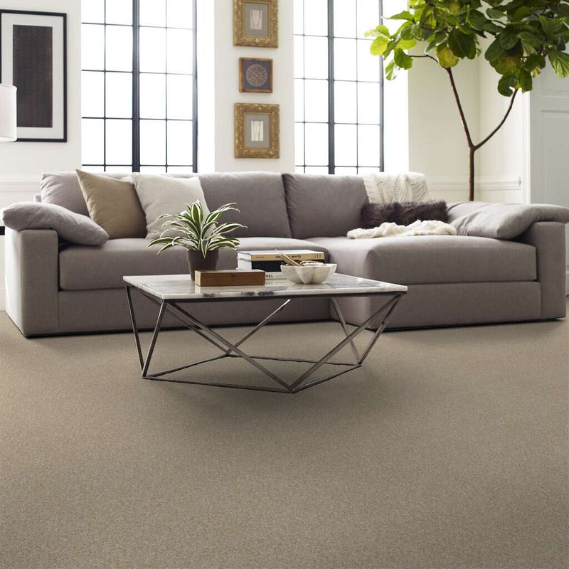 OF COURSE WE CAN III 12' 100% Pet Polyester Carpet 12 ft. x Custom Length R2X® Built-in Stain & Soil Protection