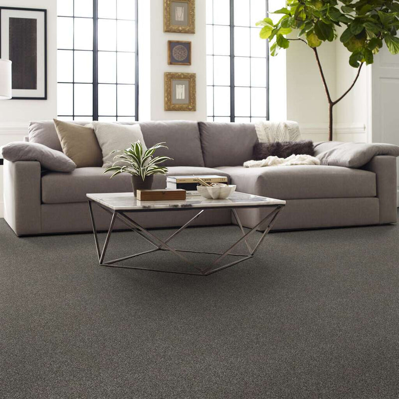 OF COURSE WE CAN II 12' 100% Pet Polyester Carpet 12 ft. x Custom Length R2X® Built-in Stain & Soil Protection