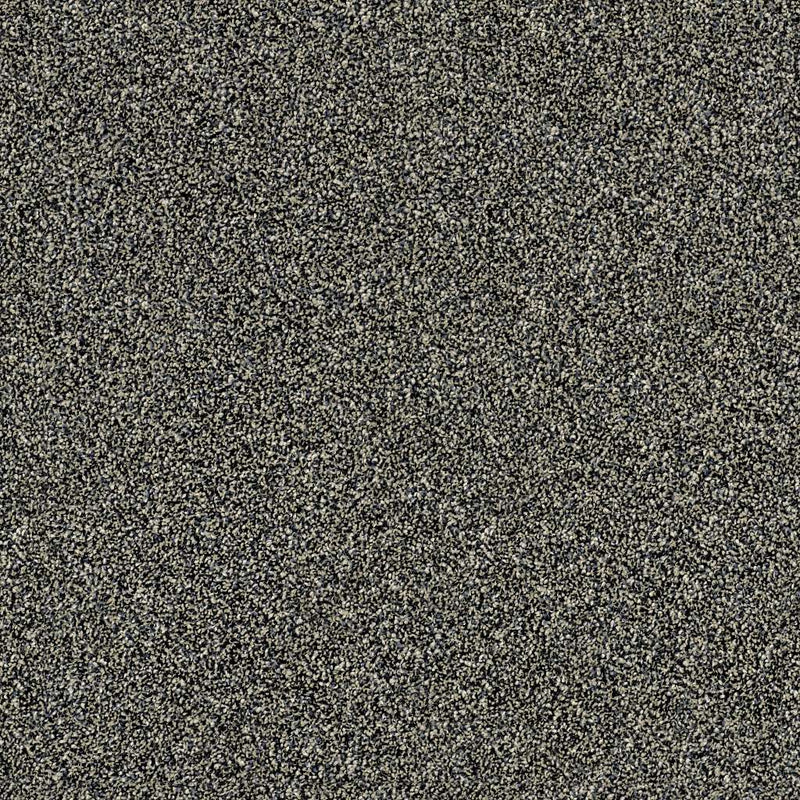 OF COURSE WE CAN I 12' 100% Pet Polyester Carpet 12 ft. x Custom Length R2X® Built-in Stain & Soil Protection