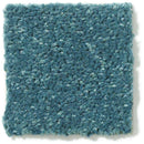 DYERSBURG CLASSIC 12' 100% Pet Polyester Carpet 12 ft. x Custom Length R2X® Built-in Stain & Soil Protection